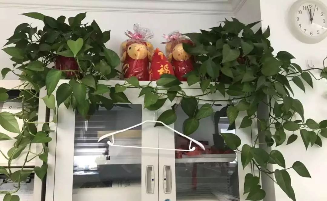 春光明媚~晒晒太阳，快来看看北交院里的小鲜肉们!