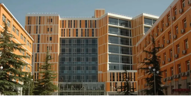 【贯通培养】PP电子游戏网站：首年加入贯通培养项目 两大类专业招生180人