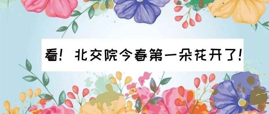 走～集合！我带你们去PP电子游戏网站看校花！