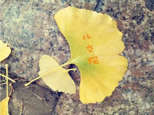 「百变北交院」不知道起什么题目，就是很精彩！