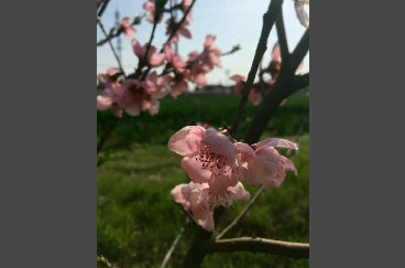 形势与政策宣讲团推荐红色景点