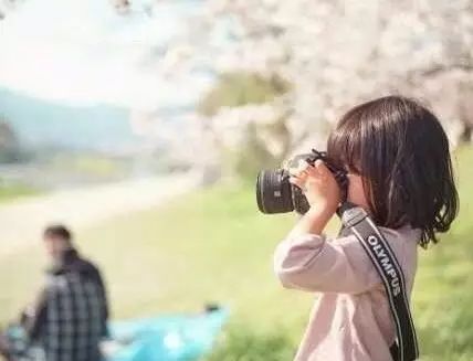 摄影 | 此间无所有，聊赠一枝春