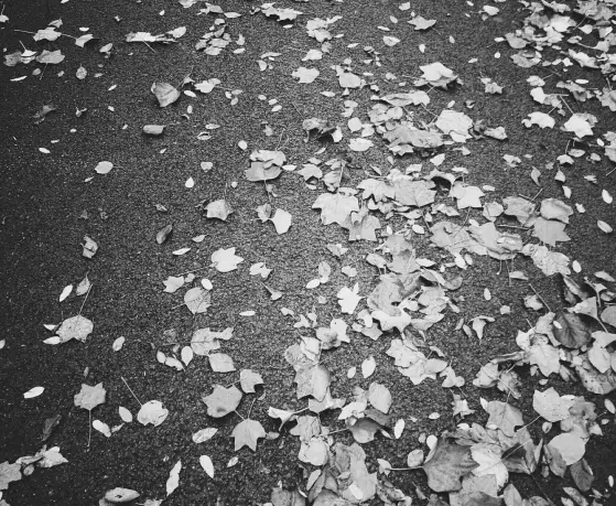 学院瞬间之美 | 学生随手拍比赛投票