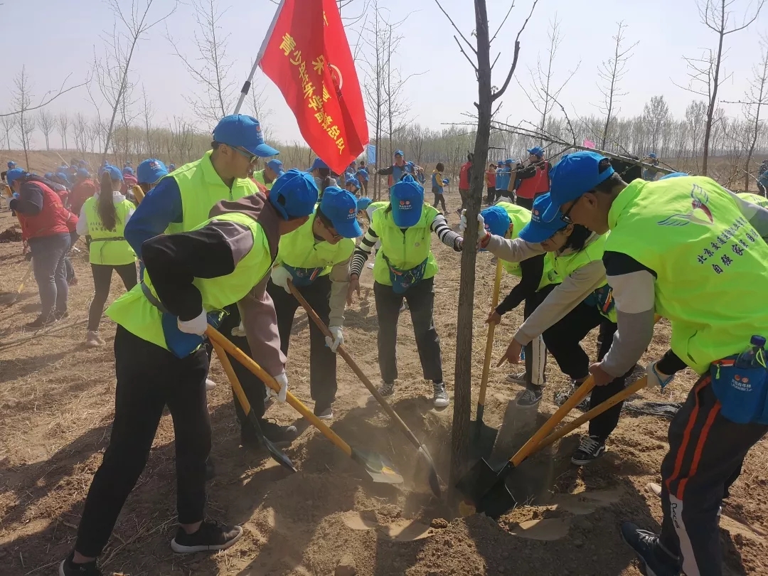 【社团活动系列】珍爱绿色，播种希望——北交院自强社的小可爱们在行动
